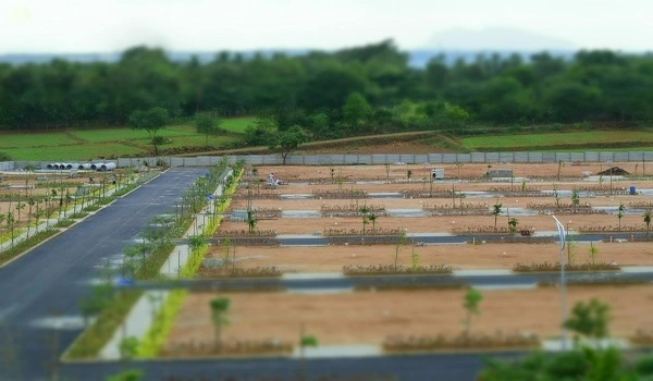 Featured Image of KNS Neoliva