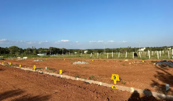Premium Gated Community Plots for Sale in Mysore
